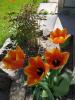 800x600-1652431701737_photo_2022-05-13_11-20-08.jpg