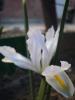 800x600-1553088416817_DSC09294.JPG.jpg