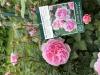 800x600-1774700129206_IMG_1759.jpeg