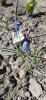 800x600-1745234297482_photo_2025-04-21_14-17-06.jpg