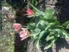 800x600-1712948161986_IMG_5548.jpeg