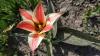 800x600-1587283620841_photo_2019-04-13_16-50-32.jpg