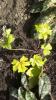 800x600-1573137422394_IMAG4288.jpg