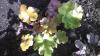 800x600-1573137564665_IMAG4293.jpg