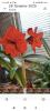 800x600-1748458523808_Screenshot_2025-05-28-21-50-48-936_com.miui.videoplayer.jpg