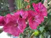 800x600-1693396539571_IMG_3581.jpeg