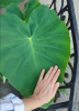800x600-1733321100398_21.png