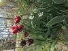 800x600-1747680838521_IMG_5910.jpeg