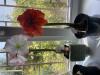 800x600-1726230081111_IMG_3395.jpeg