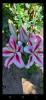 800x600-1713532880370_Screenshot_20230907_223619_Viber.jpg