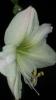 800x600-1613666213423_IMG-8836d9e0872c806d0133fae0eced6024-V.jpg