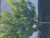 800x600-1724396770776_IMG_4739.jpeg