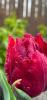 800x600-1714154259724_photo_2024-04-26_20-52-51.jpg