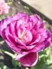800x600-1713340774439_IMG20240416120449.jpg