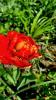 800x600-1713657252734_20240411_145650.jpg