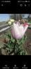 800x600-1720880440359_Screenshot_20240713_162555.jpg