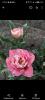 800x600-1720880440720_Screenshot_20240713_162458.jpg