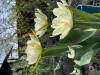 800x600-1713280345380_IMG_8254.jpeg