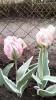 800x600-1714133179319_IMG20240426150155.jpg