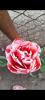 800x600-1714136162433_Screenshot_2024-04-26-15-53-43-45_99c04817c0de5652397fc8b56c3b3817.jpg