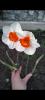 800x600-1752496697567_Screenshot_2025-04-13-21-10-35-20_99c04817c0de5652397fc8b56c3b3817.jpg