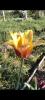 800x600-1753361405760_Screenshot_2025-04-26-16-37-08-90_99c04817c0de5652397fc8b56c3b3817.jpg