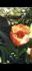 800x600-1753361647450_Screenshot_2025-04-28-18-26-34-32_99c04817c0de5652397fc8b56c3b3817.jpg