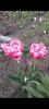 800x600-1753363222622_Screenshot_2025-04-21-20-38-06-43_99c04817c0de5652397fc8b56c3b3817.jpg