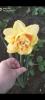 800x600-1777570768164_Screenshot_2026-04-16-21-46-43-06_99c04817c0de5652397fc8b56c3b3817.jpg