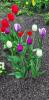 800x600-1714151636789_Screenshot_20240426-201119_Gallery.jpg