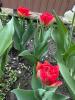 800x600-1714221595281_photo_2024-04-27_15-38-27.jpg