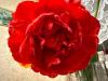 800x600-1714222045166_photo_2024-04-27_15-46-47.jpg