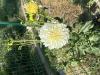 800x600-1755970627213_IMG_8229.jpeg