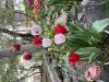 800x600-1720437964659_IMG_0418.jpeg