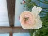 800x600-1748874579604_IMG_7790.jpeg