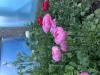 800x600-1748874580841_IMG_7715.jpeg