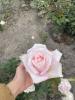 800x600-1744974776510___viber_2025-04-18_14-08-32-141.jpg