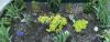 800x600-1713269867733_IMG_5693.jpeg