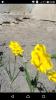 800x600-1734540320355_photo_2024-12-14_13-36-52.jpg
