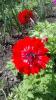 800x600-1734540759192_photo_2024-12-16_23-01-46_2_.jpg