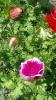 800x600-1734540759470_photo_2024-12-16_23-01-51_2_.jpg