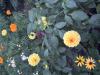 800x600-1763893144909_IMG_1550.jpeg