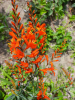 800x600-1706293097596___2024-01-26_201609259.png