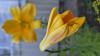 800x600-1783655238159_5554.jpg