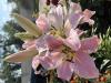 800x600-1752479865531_IMG_3784.jpeg