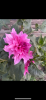 800x600-1733471674575_IMG_8379.png