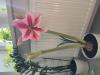800x600-1781535115801_IMG_2607.jpeg