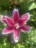 800x600-1750233783569_IMG_6575.jpeg