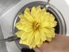 800x600-1727603527990_IMG_1910.jpeg