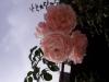 800x600-1663940486550__1.jpg